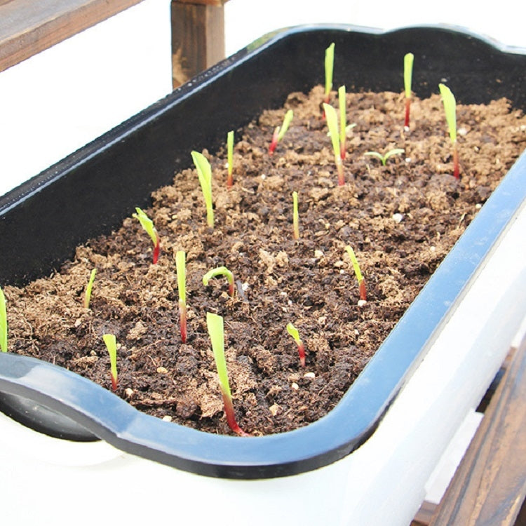 家庭陽台長方形塑膠自吸式蔬菜種植盆花盆，款式：SC01 超大盆，SC02 大盆