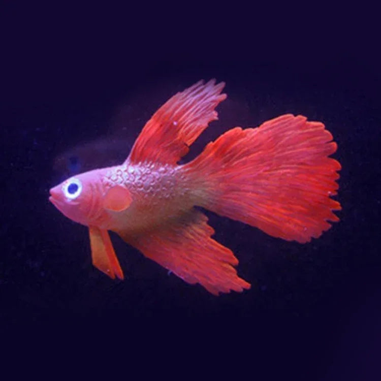 夜燈仿真魚缸裝飾環保矽膠彩色魚，1紅鬥魚，2棕鬥魚，3藍鬥魚，4藍金魚，5紅金魚，6棕金魚