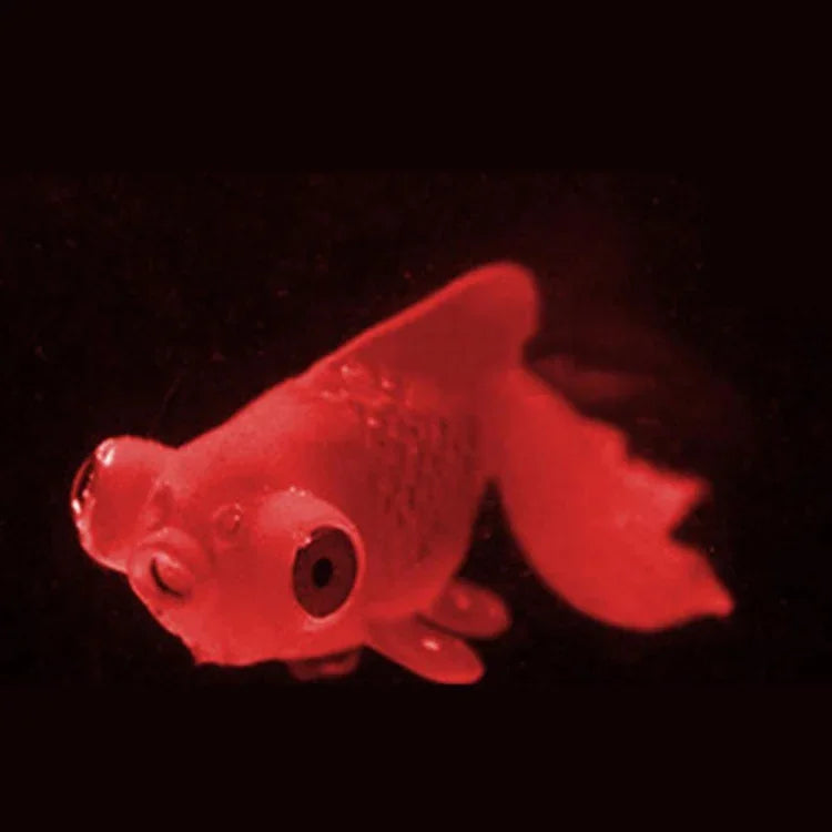 夜燈仿真魚缸裝飾環保矽膠彩色魚，1紅鬥魚，2棕鬥魚，3藍鬥魚，4藍金魚，5紅金魚，6棕金魚