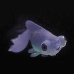 夜燈仿真魚缸裝飾環保矽膠彩色魚，1紅鬥魚，2棕鬥魚，3藍鬥魚，4藍金魚，5紅金魚，6棕金魚