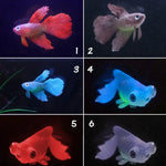 夜燈仿真魚缸裝飾環保矽膠彩色魚，1紅鬥魚，2棕鬥魚，3藍鬥魚，4藍金魚，5紅金魚，6棕金魚