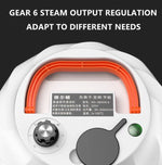 蒸汽清潔機高溫消毒清潔機，帶1L水箱，220V歐規插頭，220V英規插頭，110V美規插頭，220V澳規插頭，220V美規插頭