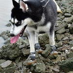 4 件組 HCPET 狗鞋 透氣網眼狗鞋，1 號 4cm，2 號 4.5cm，3 號 5cm，4 號 5.5cm，5 號 6cm，6 號 6.5cm，7 號 7cm，8 號 7.5cm