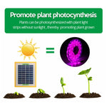 LED全光譜植物補光燈生長燈