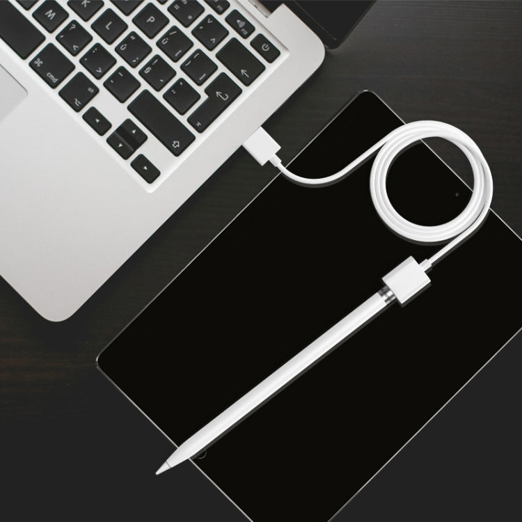 1米觸控筆充電線，適用於 Apple Pencil 1