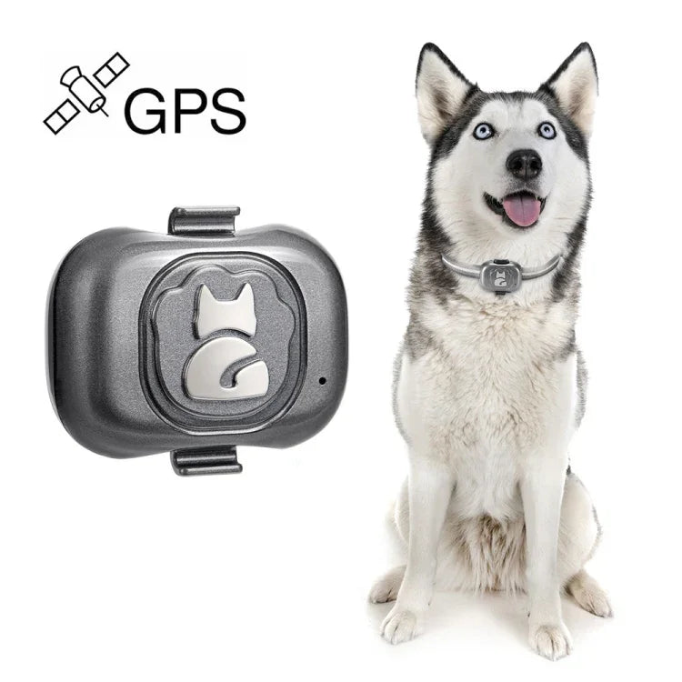 G16 寵物 GPS 追蹤器 IP67 防水智慧項圈防丟追蹤，適用狗貓，G16 寵物 GPS