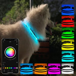 LED可充電耐磨防水寵物照明頸圈，尺寸：XS，S，M，L