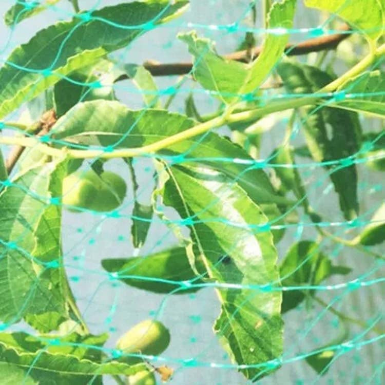防鳥保護網 網狀園藝植物網 保護植物和果實，2Mx10M，4Mx5M，4Mx10M，4Mx12M，5Mx10M，5Mx20M，4Mx15M