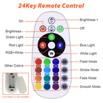 彩色 RGB 變色 LED 泛光燈 帶遙控器，30W，100W