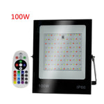 彩色 RGB 變色 LED 泛光燈 帶遙控器，30W，100W