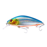 HENGJIA 遠投沉水小魚假餌，9.5cm 15g，12cm 32g