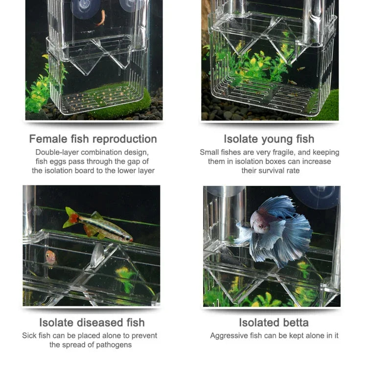 孔雀魚雙層透明繁殖隔離盒水族繁殖盒，小號、大號、加大型