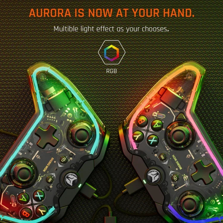 RGB 燈光有線遊戲手把控制器，適用於 PC/Switch，BIGBIGWON C1 S