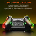 RGB 燈光有線遊戲手把控制器，適用於 PC/Switch，BIGBIGWON C1 S
