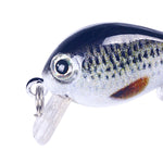HENGJIA 2.5cm 1.5g 浮水小胖微物微型 3D 打印路亞餌