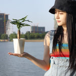 菱形自動吸水懶人花盆綠植塑膠盆，12cm x 14cm