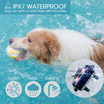 智能電子遙控狗訓練器 防水寵物止吠器，單犬用，雙犬用