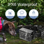 狗訓練器 自動止吠狗訓練電子項圈，單犬用，雙犬用，三犬用