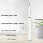 電動牙科刮治器配件替換頭，白色基礎款、白色專用款、黑色基礎款、黑色專用款、綠色基礎款、綠色專用款，5支白色牙刷頭，5支黑色牙刷頭，5支綠色牙刷頭