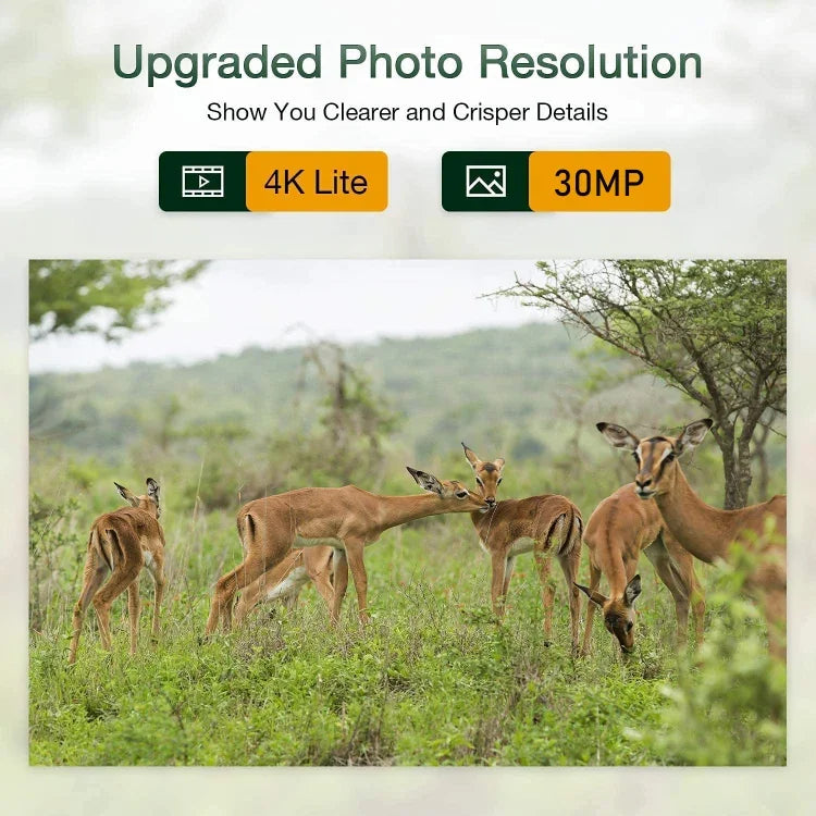 HC-801Pro 4K 4G 戶外狩獵攝影機 APP 遠程手機控制隨時查看照片和視頻，歐規插頭，美規插頭，澳規插頭