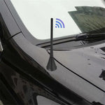 Automotive Antenna Car Universal Radio AM/FM Aerials, Passive Antenna, Active Antenna