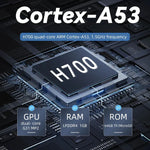 ANBERNIC RG35XX H 掌上遊戲機 3.5 吋 IPS 螢幕 Linux 系統，64GB，64GB+128GB