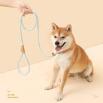 狗用牽引繩中大型通用安全扣鏈圈，1.5m x 0.6cm，1.5m x 0.8cm，1.5m x 1cm，1.8m x 0.6cm，1.8m x 0.8cm，1.8m x 1cm