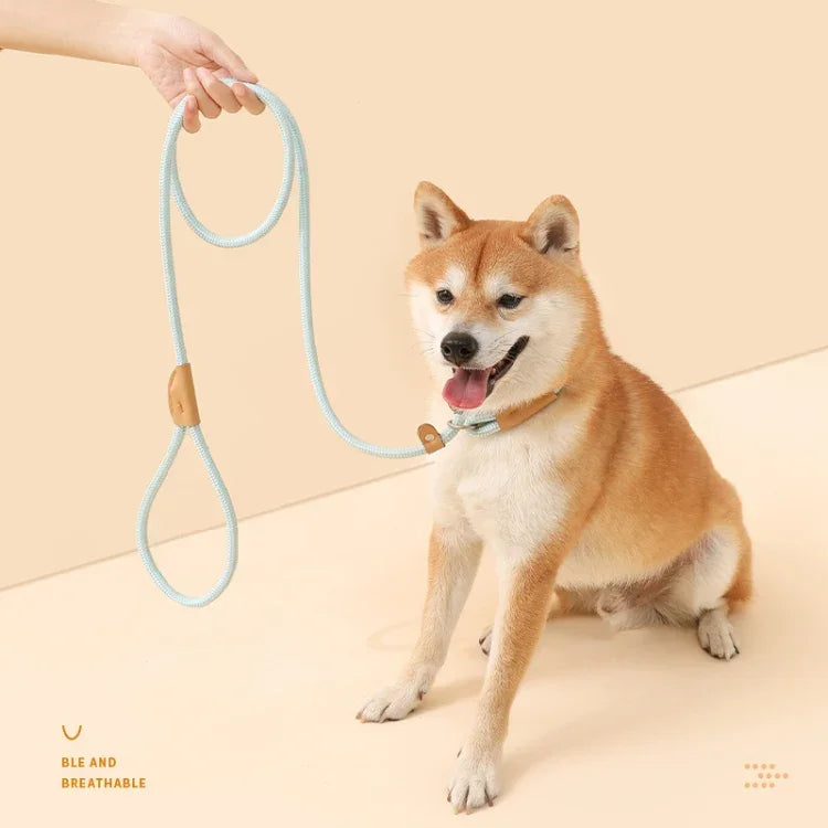狗用牽引繩中大型通用安全扣鏈圈，1.5m x 0.6cm，1.5m x 0.8cm，1.5m x 1cm，1.8m x 0.6cm，1.8m x 0.8cm，1.8m x 1cm