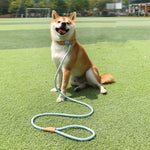 狗用牽引繩中大型通用安全扣鏈圈，1.5m x 0.6cm，1.5m x 0.8cm，1.5m x 1cm，1.8m x 0.6cm，1.8m x 0.8cm，1.8m x 1cm