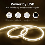 LIXINCORDA 2米 5V USB 觸控 LED 燈條柔性霓虹矽膠軟條，USB 觸控（粉色），USB 觸控（暖白光），USB 觸控（藍色）