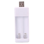 直插式 2 插槽 USB AA / AAA 可充電電池充電器，USB 2 插槽