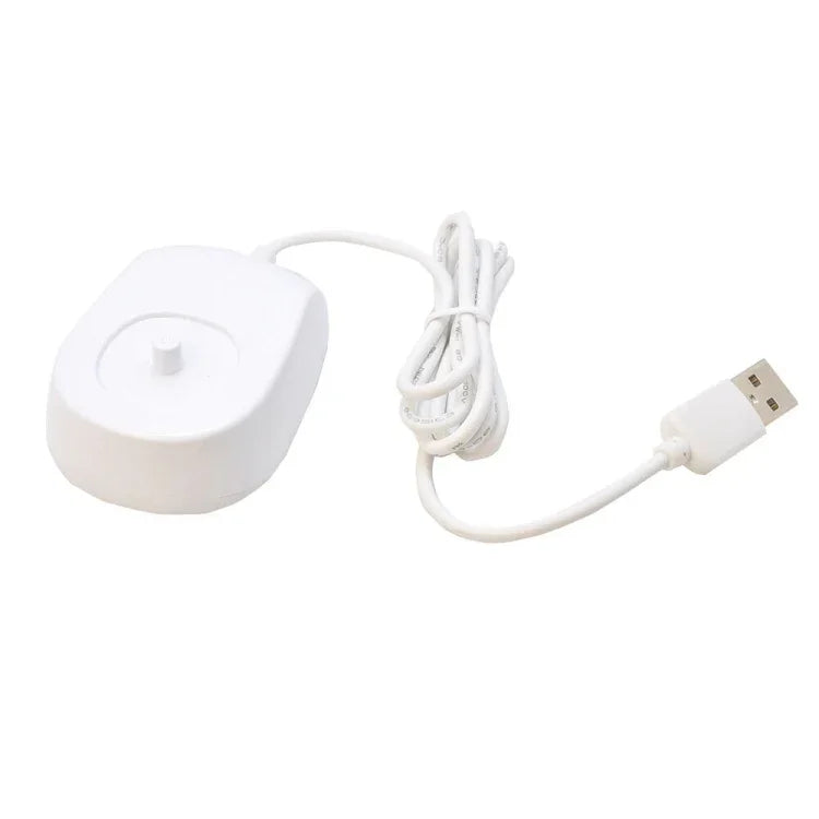 飛利浦牙刷 USB 充電器 HX2431 HX2421 HX2021 HX2023