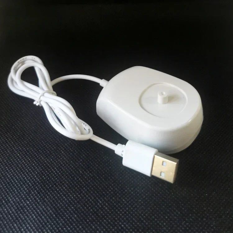 飛利浦牙刷 USB 充電器 HX2431 HX2421 HX2021 HX2023