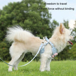 寵物幼犬狗牽引背心泰迪胸帶鏈狗散步牽引繩，S，M，L，XL
