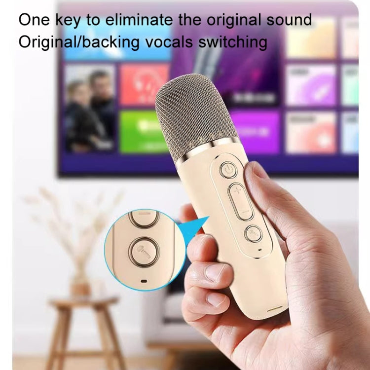 戶外家用便攜無線卡拉 OK 音響手機一體式麥克風智能揚聲器，雙麥藍色