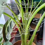 植物根部固定支架 園藝護理工具，BJ138-001，BJ138-002