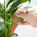 園藝灌溉滲透 家用植物盆栽鳥類自動澆水器