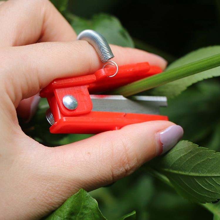 4個裝/包 瓜果採摘小型斷頭台 葡萄摘取拇指刀 蔬菜採摘器
