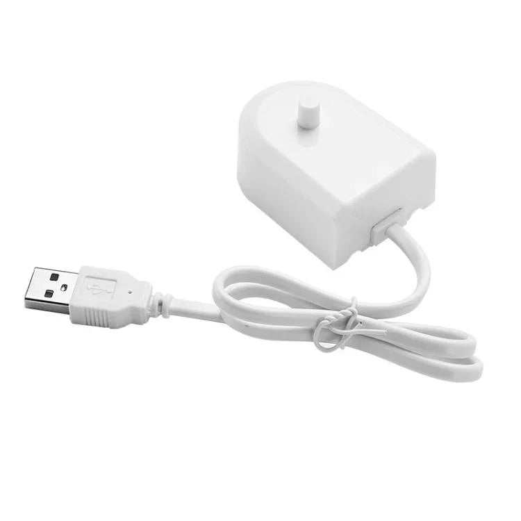 HX6100 USB 充電器 適用於飛利浦牙刷 HX2421/ HX3216 / HX6322 / HX6511 等，USB 充電器