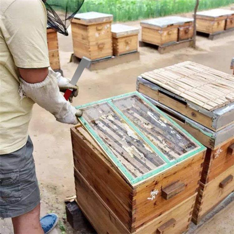 不鏽鋼彎尾蜂巢刮刀養蜂工具