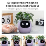 智能植物盆栽多傳感器WiFi植物監測器，帶2英寸屏幕，兼容米家/涂鴉智能生態系統