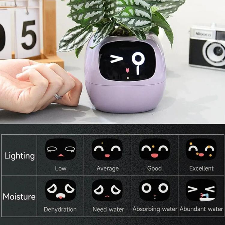 智能植物盆栽多傳感器WiFi植物監測器，帶2英寸屏幕，兼容米家/涂鴉智能生態系統