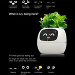 智能植物盆栽多傳感器WiFi植物監測器，帶2英寸屏幕，兼容米家/涂鴉智能生態系統