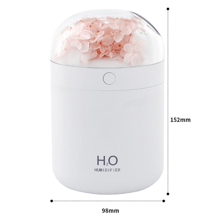WT18 花卉加濕器 USB 桌面辦公室臥室保濕霧化器