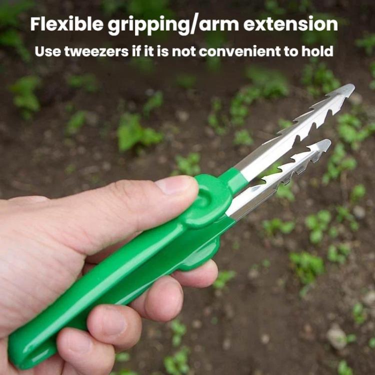 園藝多肉植物護理工具鑷子家用蔬菜園除草夾取夾