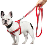 小中型犬尼龍反光狗牽引繩套裝，S