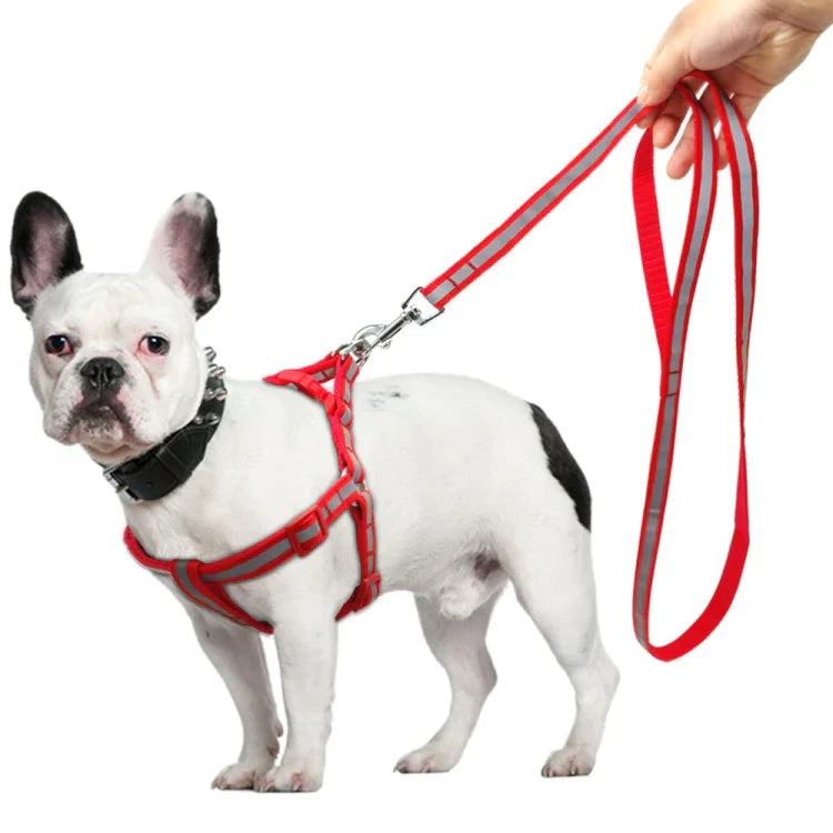 小中型犬尼龍反光狗牽引繩套裝，S