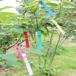 100片園藝植物幼苗種子懸掛樹標籤，植物標籤5黃色，植物標籤5綠色，植物標籤5藍色，植物標籤5紅色，植物標籤5白色，植物標籤5粉色