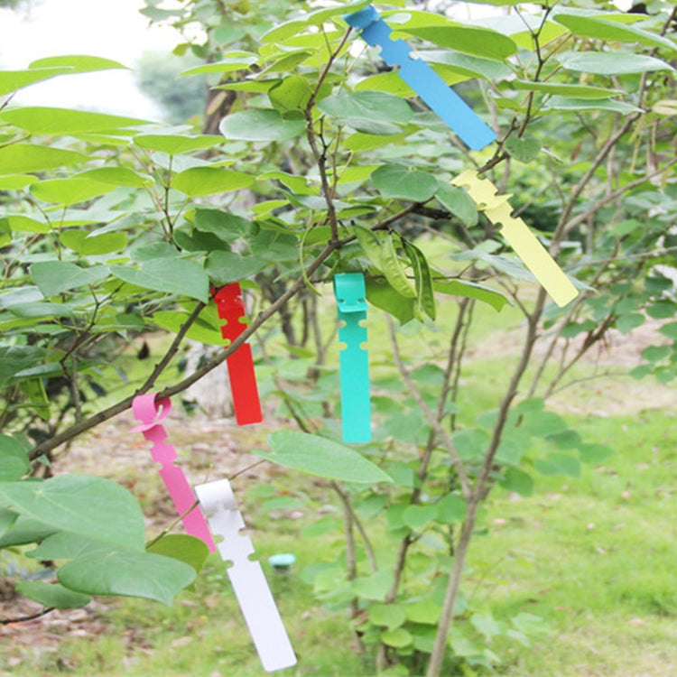 100片園藝植物幼苗種子懸掛樹標籤，植物標籤5黃色，植物標籤5綠色，植物標籤5藍色，植物標籤5紅色，植物標籤5白色，植物標籤5粉色
