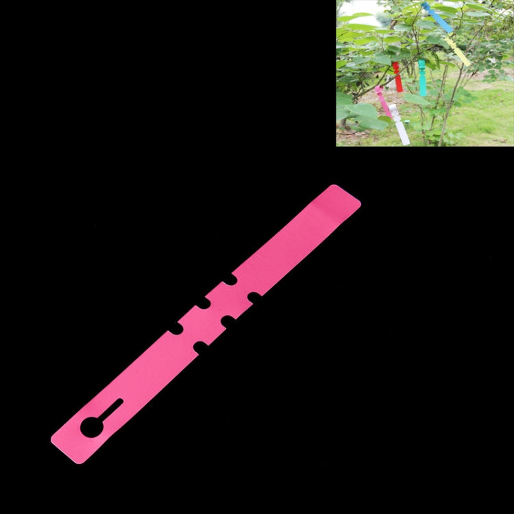 圖片替代文字